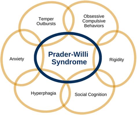 prada willi autism|Prader–Willi syndrome and autism spectrum disorders: an .